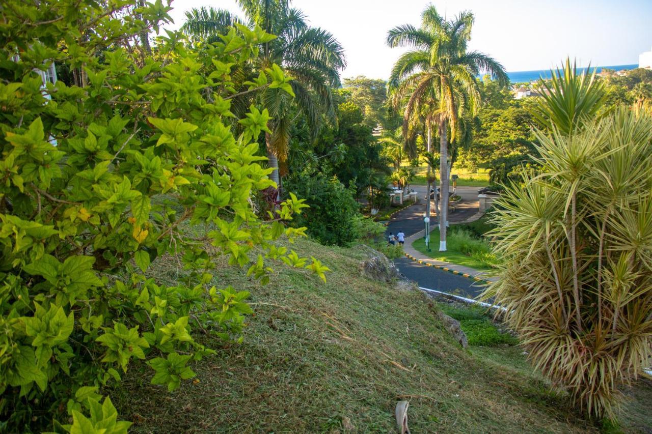 E 20 Mystic Ridge Ocho Rios Apartment Ngoại thất bức ảnh